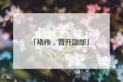 褚伟，晋升副部