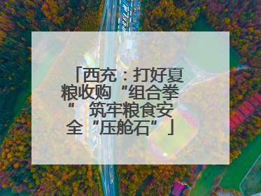 西充：打好夏粮收购“组合拳” 筑牢粮食安全“压舱石”
