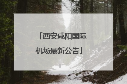 西安咸阳国际机场最新公告