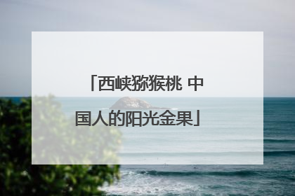 西峡猕猴桃 中国人的阳光金果