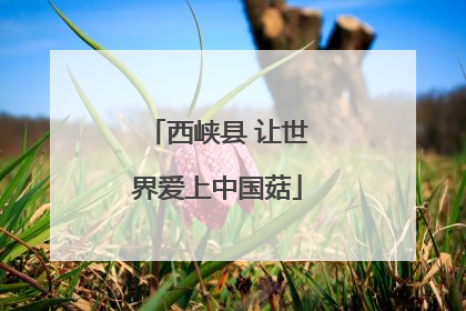 西峡县 让世界爱上中国菇