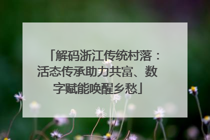 解码浙江传统村落：活态传承助力共富、数字赋能唤醒乡愁
