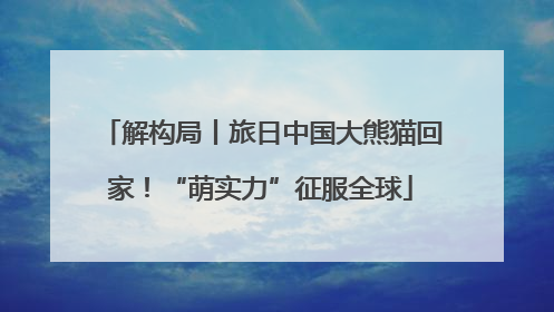 解构局丨旅日中国大熊猫回家！“萌实力”征服全球