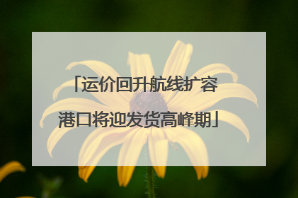运价回升航线扩容 港口将迎发货高峰期