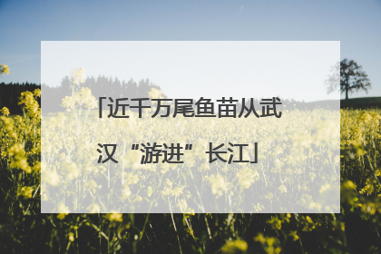 近千万尾鱼苗从武汉“游进”长江