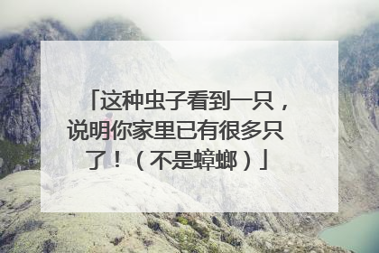 这种虫子看到一只，说明你家里已有很多只了！（不是蟑螂）