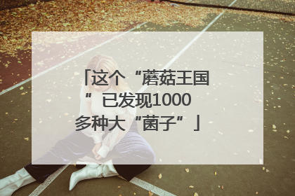 这个“蘑菇王国”已发现1000多种大“菌子”