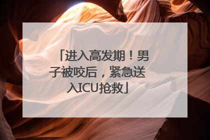 进入高发期！男子被咬后，紧急送入ICU抢救