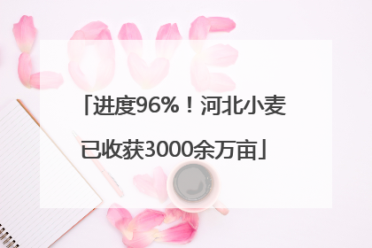 进度96%！河北小麦已收获3000余万亩