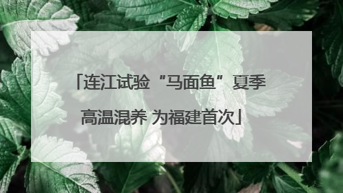 连江试验“马面鱼”夏季高温混养 为福建首次