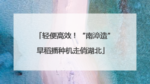 轻便高效！“南漳造”旱稻播种机走俏湖北