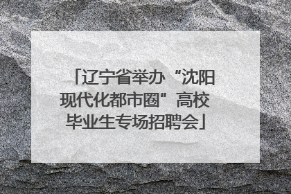 辽宁省举办“沈阳现代化都市圈”高校毕业生专场招聘会