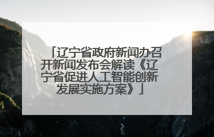 辽宁省政府新闻办召开新闻发布会解读《辽宁省促进人工智能创新发展实施方案》