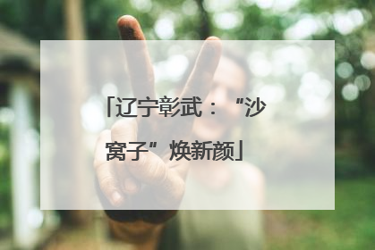辽宁彰武：“沙窝子”焕新颜