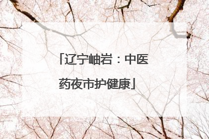 辽宁岫岩：中医药夜市护健康