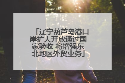 辽宁葫芦岛港口岸扩大开放通过国家验收 将增强东北地区外贸业务