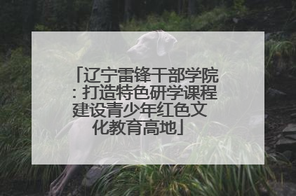 辽宁雷锋干部学院：打造特色研学课程 建设青少年红色文化教育高地