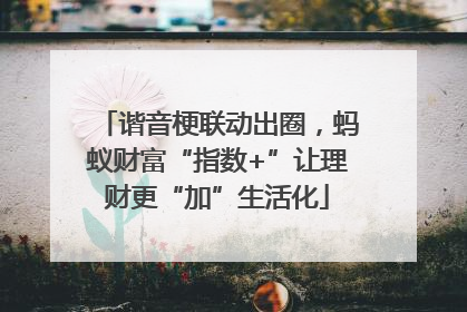 谐音梗联动出圈，蚂蚁财富“指数+”让理财更“加”生活化