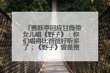 贾跃亭回应甘薇带女儿唱《野子》：你们唱得比爸爸好听多了；《野子》曾是贾跃亭“代表作”