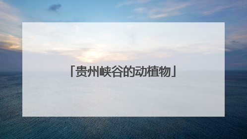 贵州峡谷的动植物