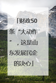 财政50条“大动作”，这是山东发展民企的决心