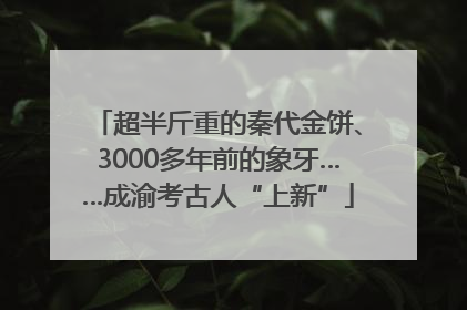 超半斤重的秦代金饼、3000多年前的象牙……成渝考古人“上新”