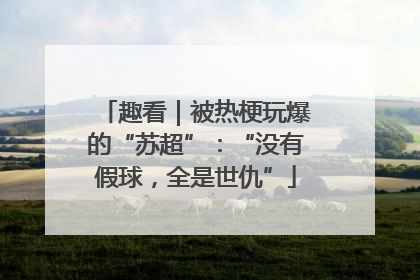 趣看｜被热梗玩爆的“苏超”：“没有假球，全是世仇”