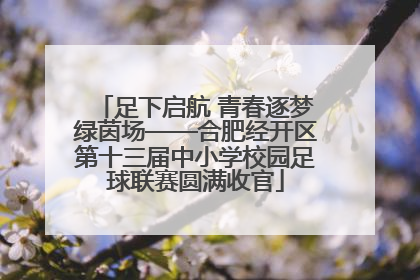 足下启航 青春逐梦绿茵场——合肥经开区第十三届中小学校园足球联赛圆满收官