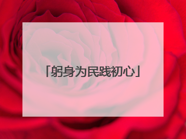 躬身为民践初心