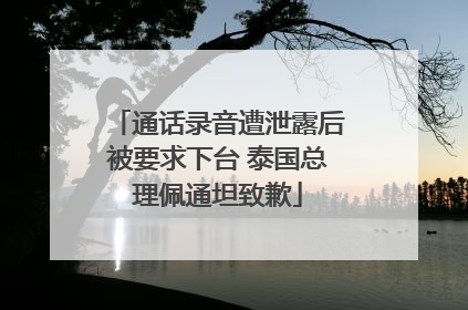 通话录音遭泄露后被要求下台 泰国总理佩通坦致歉