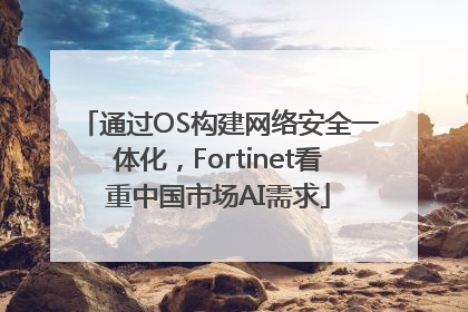 通过OS构建网络安全一体化，Fortinet看重中国市场AI需求
