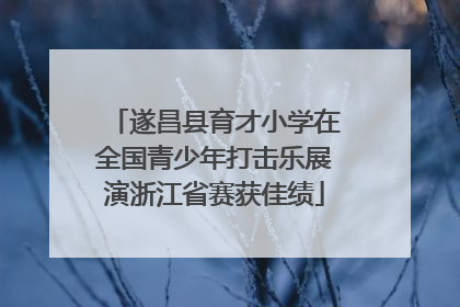 遂昌县育才小学在全国青少年打击乐展演浙江省赛获佳绩
