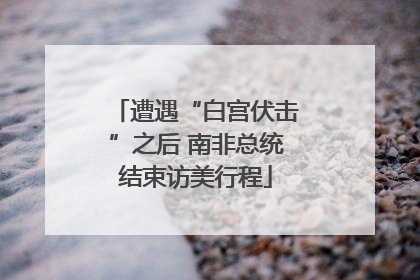 遭遇“白宫伏击”之后 南非总统结束访美行程