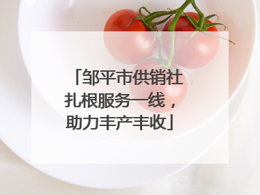 邹平市供销社扎根服务一线，助力丰产丰收