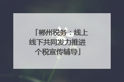 郴州税务：线上线下共同发力推进个税宣传辅导