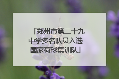 郑州市第二十九中学多名队员入选国家荷球集训队