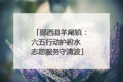 郧西县羊尾镇：六五行动护碧水 志愿服务守清波