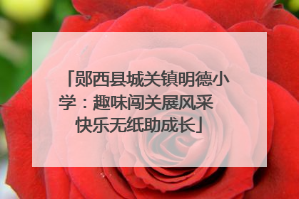 郧西县城关镇明德小学：趣味闯关展风采 快乐无纸助成长