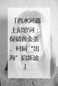 酉水河遇上尼罗河：保靖黄金茶、村厨“出海”启新途