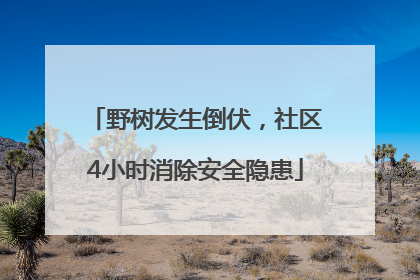 野树发生倒伏，社区4小时消除安全隐患