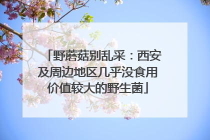 野蘑菇别乱采：西安及周边地区几乎没食用价值较大的野生菌
