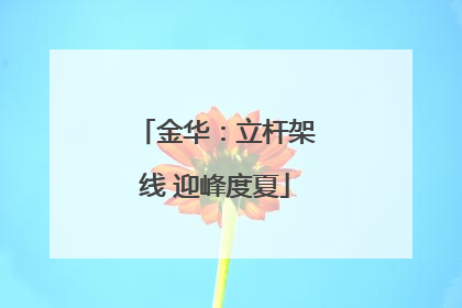 金华：立杆架线 迎峰度夏