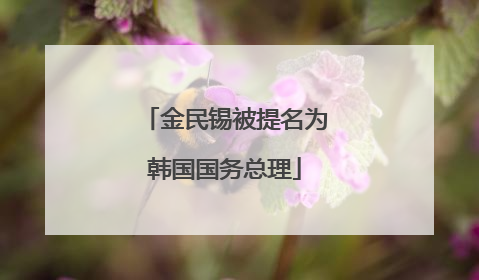 金民锡被提名为韩国国务总理