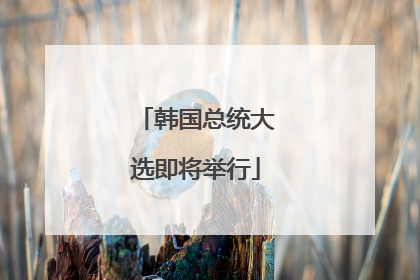 韩国总统大选即将举行