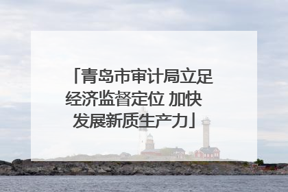 青岛市审计局立足经济监督定位 加快发展新质生产力