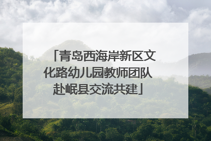 青岛西海岸新区文化路幼儿园教师团队赴岷县交流共建