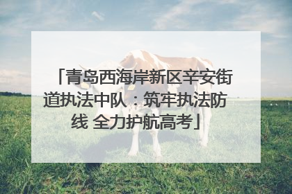 青岛西海岸新区辛安街道执法中队：筑牢执法防线 全力护航高考