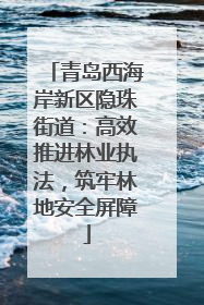 青岛西海岸新区隐珠街道：高效推进林业执法，筑牢林地安全屏障