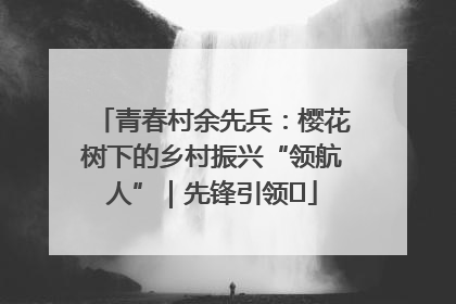 青春村余先兵：樱花树下的乡村振兴“领航人”｜先锋引领⑪