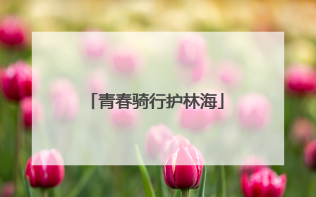 青春骑行护林海